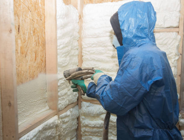 Best Attic Insulation Installation  in Ortonville, MN